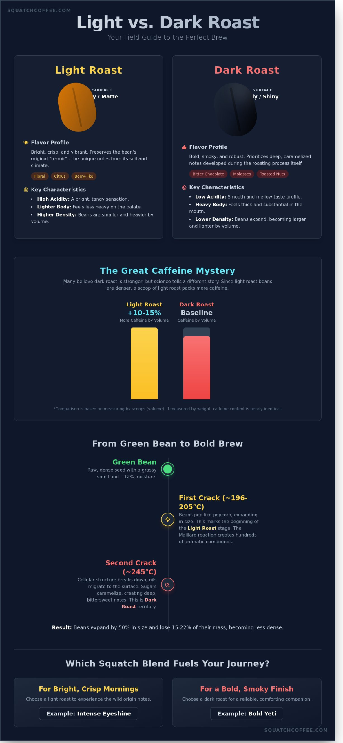 Light Roast vs. Dark Roast: Choosing the Right Fuel for Your Next Adventure - Infographic
